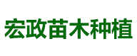 永濟市永紅苗木種植專業合作社_湖(hú)南杉類苗木種植銷售|水(shuǐ)杉種植